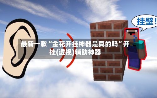 最新一款“金花开挂神器是真的吗	”开挂(透视)辅助神器-第3张图片