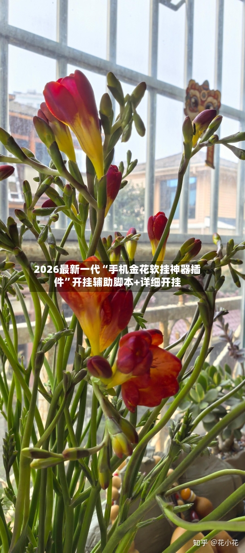 2026最新一代“手机金花软挂神器插件	”开挂辅助脚本+详细开挂-第2张图片