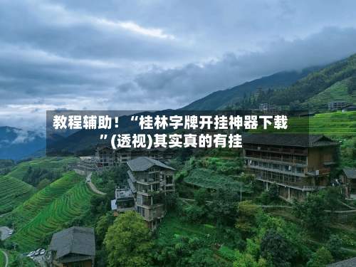 教程辅助！“桂林字牌开挂神器下载”(透视)其实真的有挂-第2张图片