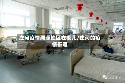 庄河疫情溯源地区在哪儿/庄河的疫情报道