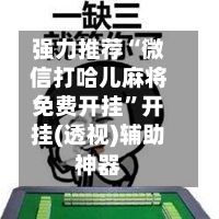 强力推荐“微信打哈儿麻将免费开挂	”开挂(透视)辅助神器-第2张图片