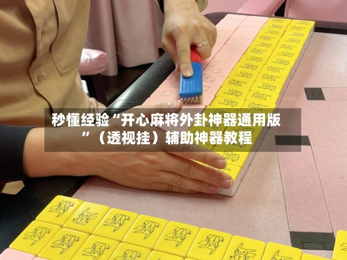 秒懂经验“开心麻将外卦神器通用版”（透视挂）辅助神器教程-第2张图片