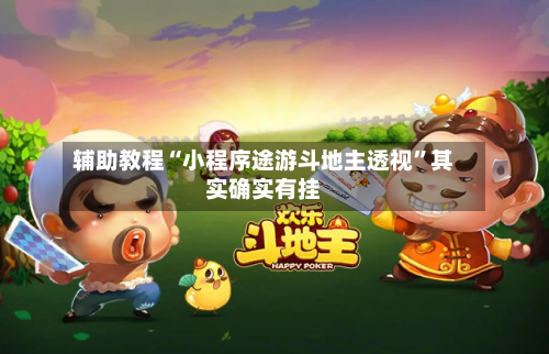 辅助教程“小程序途游斗地主透视”其实确实有挂-第3张图片