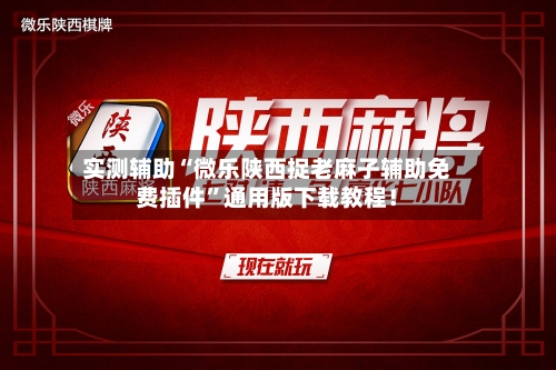 实测辅助“微乐陕西捉老麻子辅助免费插件”通用版下载教程！-第2张图片
