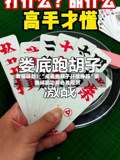 教程辅助！“皮皮跑胡子开挂神器”掌握辅助功能必胜规则