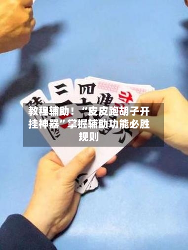 教程辅助！“皮皮跑胡子开挂神器”掌握辅助功能必胜规则-第2张图片