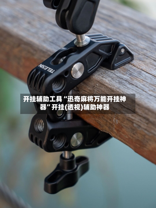 开挂辅助工具“迅奇麻将万能开挂神器”开挂(透视)辅助神器