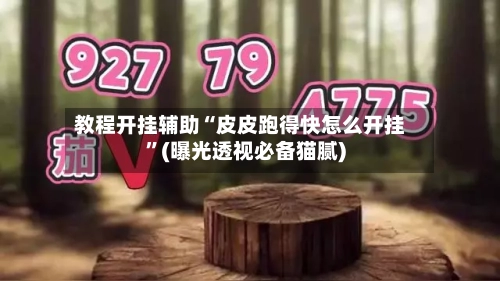 教程开挂辅助“皮皮跑得快怎么开挂”(曝光透视必备猫腻)-第3张图片