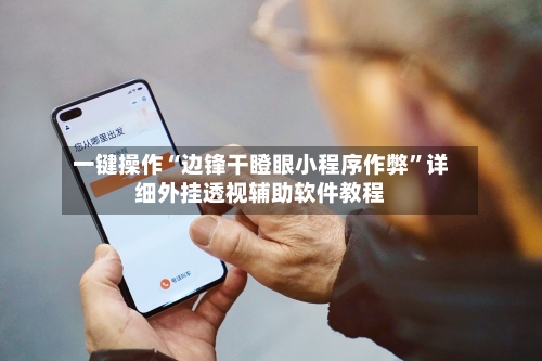 一键操作“边锋干瞪眼小程序作弊”详细外挂透视辅助软件教程-第2张图片