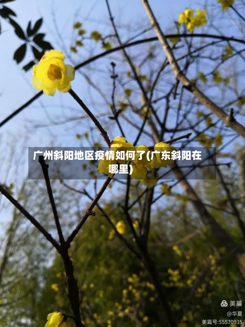 广州斜阳地区疫情如何了(广东斜阳在哪里)-第2张图片
