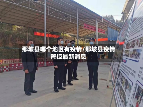那坡县哪个地区有疫情/那坡县疫情管控最新消息-第2张图片