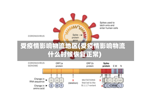受疫情影响物流地区(受疫情影响物流什么时候恢复正常)