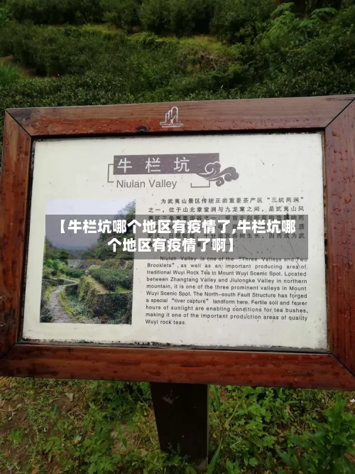 【牛栏坑哪个地区有疫情了,牛栏坑哪个地区有疫情了啊】