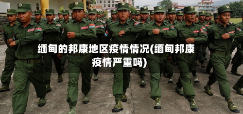 缅甸的邦康地区疫情情况(缅甸邦康疫情严重吗)
