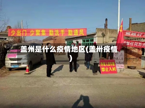 盖州是什么疫情地区(盖卅疫情)