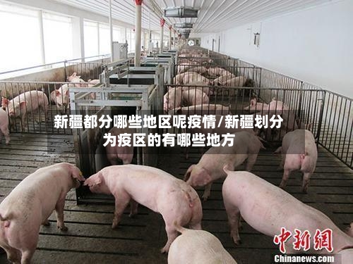 新疆都分哪些地区呢疫情/新疆划分为疫区的有哪些地方-第2张图片