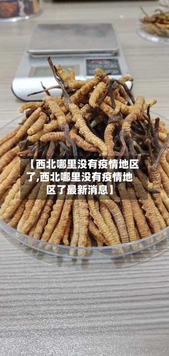 【西北哪里没有疫情地区了,西北哪里没有疫情地区了最新消息】-第2张图片