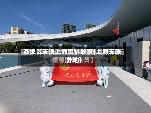 各地区支援上海疫情政策(上海支援外地)-第3张图片