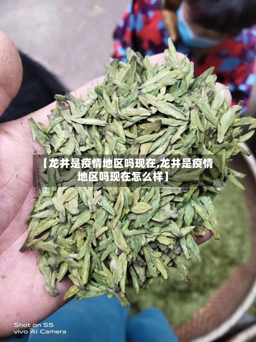 【龙井是疫情地区吗现在,龙井是疫情地区吗现在怎么样】-第3张图片