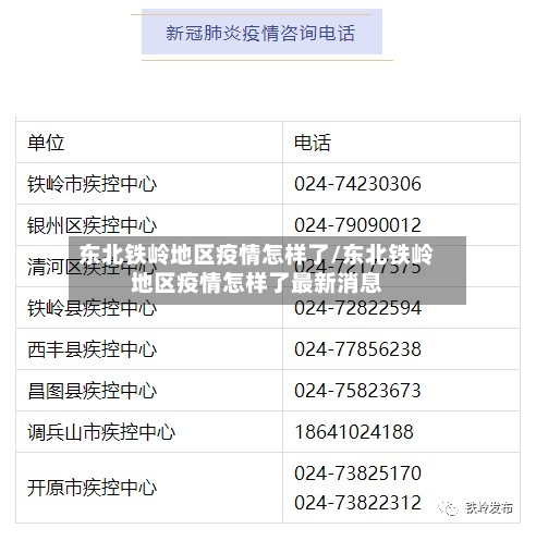 东北铁岭地区疫情怎样了/东北铁岭地区疫情怎样了最新消息-第2张图片