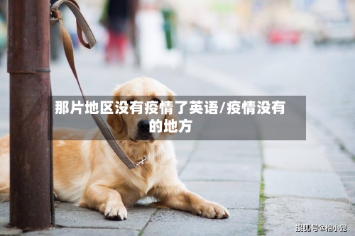 那片地区没有疫情了英语/疫情没有的地方