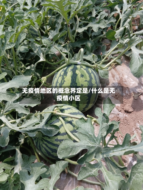 无疫情地区的概念界定是/什么是无疫情小区