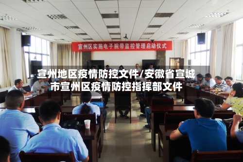 宣州地区疫情防控文件/安徽省宣城市宣州区疫情防控指挥部文件-第2张图片