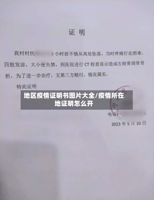 地区疫情证明书图片大全/疫情所在地证明怎么开