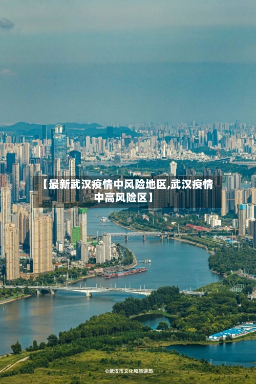 【最新武汉疫情中风险地区,武汉疫情中高风险区】